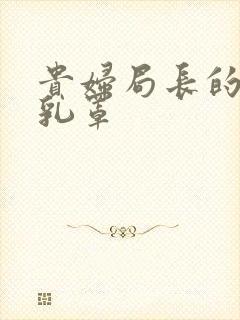 贵妇局长的蕾丝乳罩