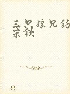 三只狼兄的宠妻宋钦