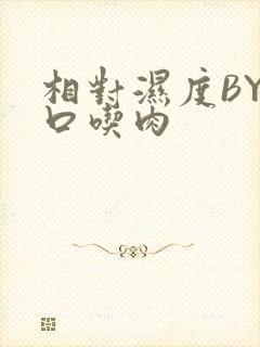 相对湿度BY大口吃肉