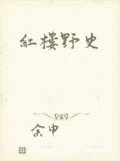 红楼野史