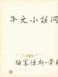 牛文小说网