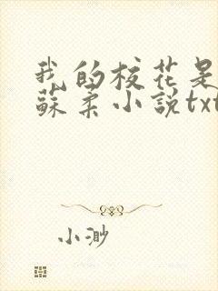 我的校花是福姬苏柔小说txt