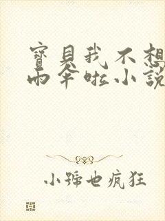 宝贝我不想带小雨伞啦小说