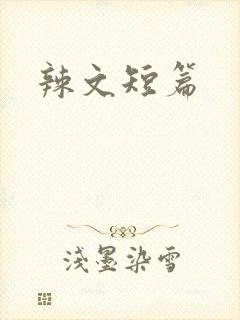 辣文短篇