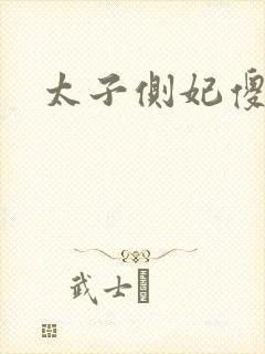 太子侧妃傻乎乎