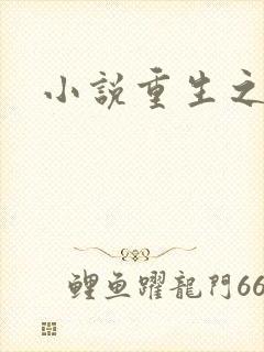 小说重生之官道