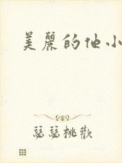 美丽的他小说