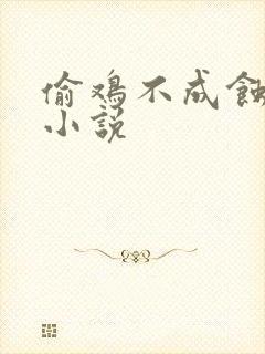偷鸡不成蚀把米小说