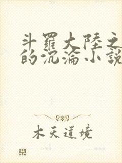 斗罗大陆之众女的沉沦小说