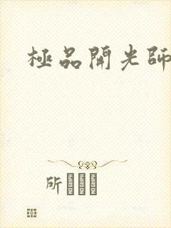 极品开光师
