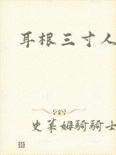耳根三寸人间封面
