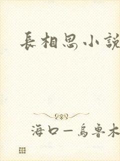 长相思小说原著封面