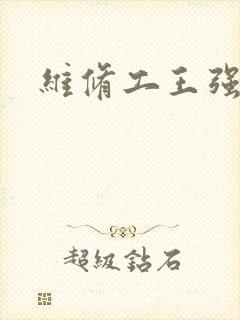 维修工王强张婷