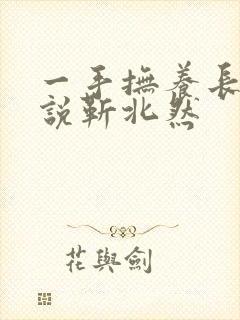 一手抚养长大小说靳北然