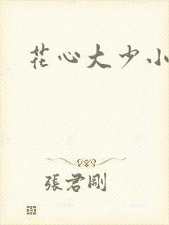 花心大少小说