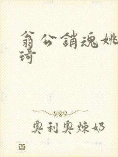 翁公销魂姚瑶琦琦封面