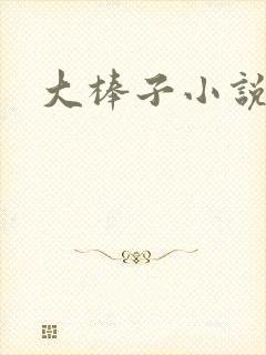 大棒子小说