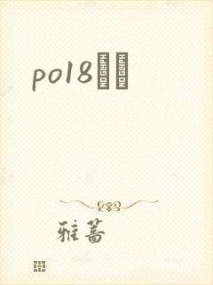 po18С˵封面