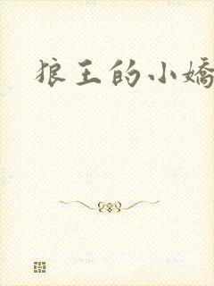 狼王的小娇妻