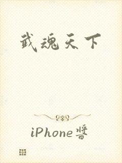 武魂天下