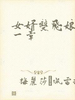 女婿双飞娘俩第一章