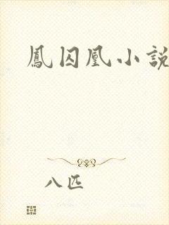凤囚凰小说