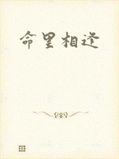 命里相逢