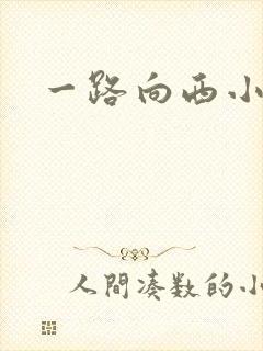 一路向西小说