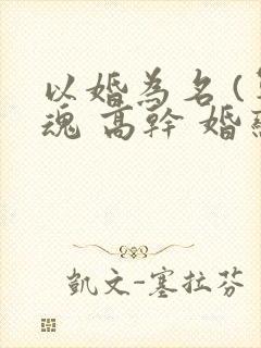 以婚为名 (军魂 高干 婚恋)