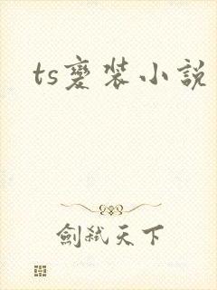 ts变装小说