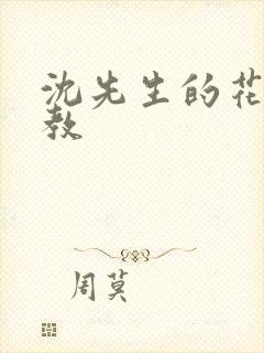 沈先生的花式管教封面
