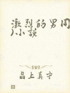 激烈的男同(h)小说