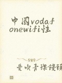 中国vodafonewifi性