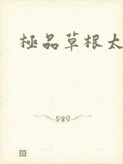 极品草根太子