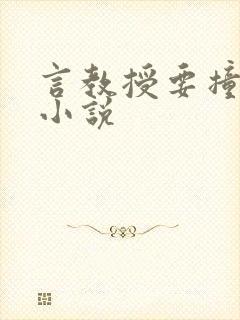 言教授要撞坏了小说