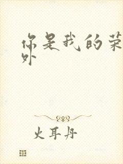 你是我的荣耀番外封面