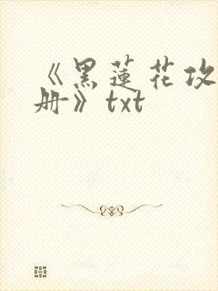 《黑莲花攻略手册》txt