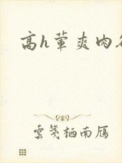 高h荤爽肉欲文
