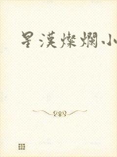 星汉灿烂小说