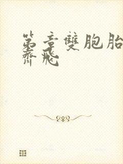 第章双胞胎姐妹齐飞