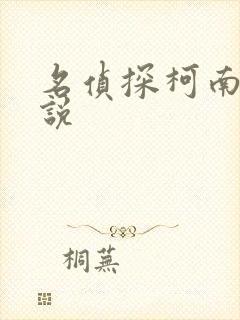 名侦探柯南h小说