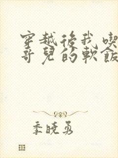 穿越后我吃到了哥儿的软饭炉山灰