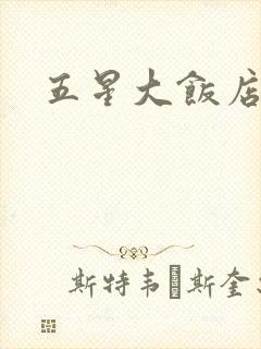 五星大饭店小说