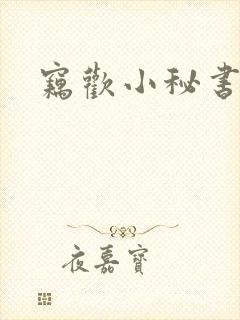 窃欢小秘书