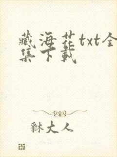 藏海花txt全集下载