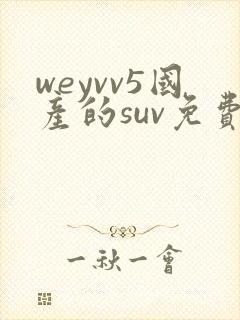 weyvv5国产的suv免费