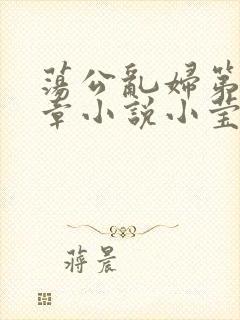 荡公乱妇第51章小说小莹