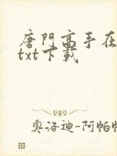 唐门高手在异世txt下载