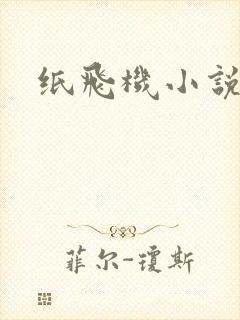纸飞机小说