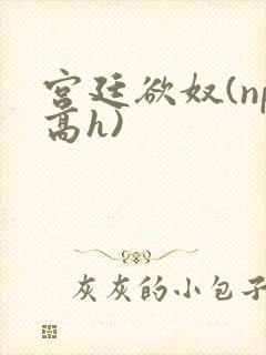 宫廷欲奴(np高h)
